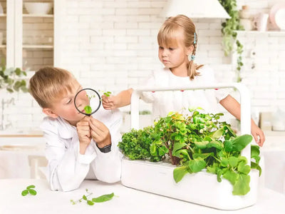 Click & Grow - Smart Garden 9 Starter Kit - Doniczka z Lampą Led do Uprawy Roślin