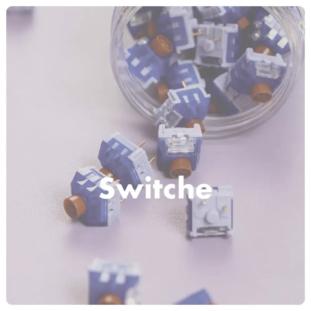switche2